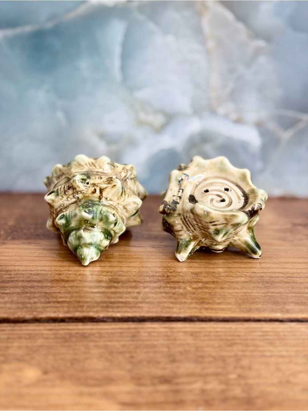 Sea Shell Salt and Pepper Shakers